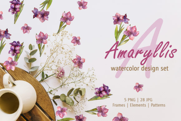 Amaryllis Design Set Watercolor Png Illustrations