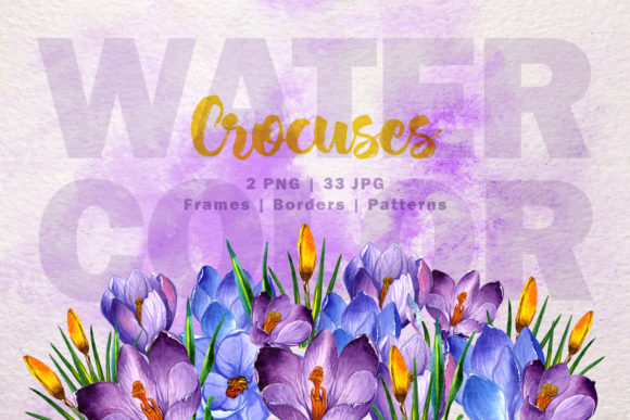 Blue and Purple Crocuses PNG Watercolor Set Illustrations