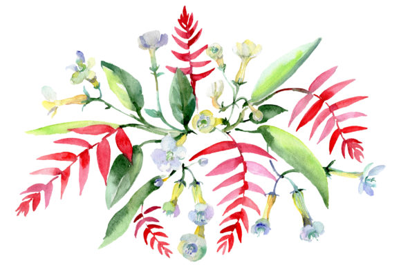 Bouquet Ariel Watercolor & Illustrations