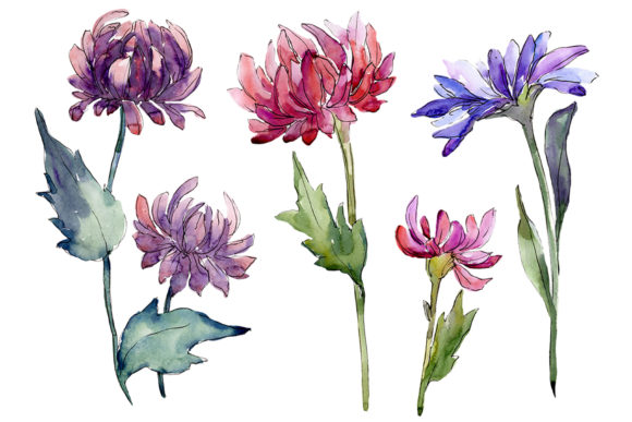 Bouquet of Flowers Aster Forest Fairy Watercolor PNG
