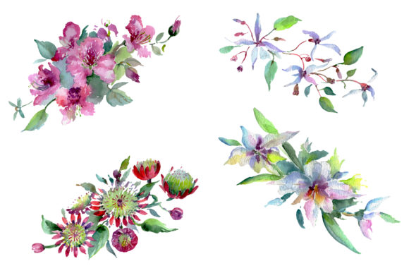 Bouquet of Flowers Moulin Rouge Watercolor