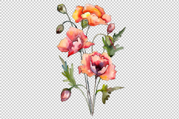 Bouquet of Red Poppies Watercolor Set