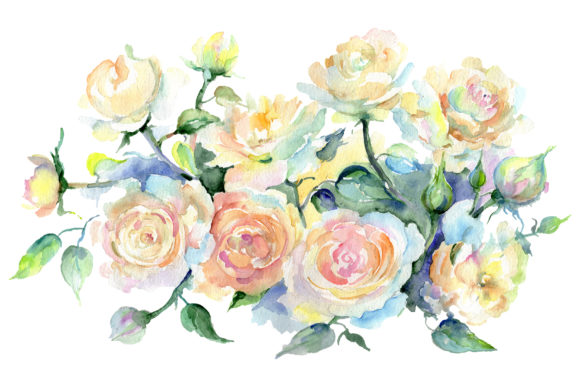 Bouquet or Yellow Roses Watercolor Illustrations