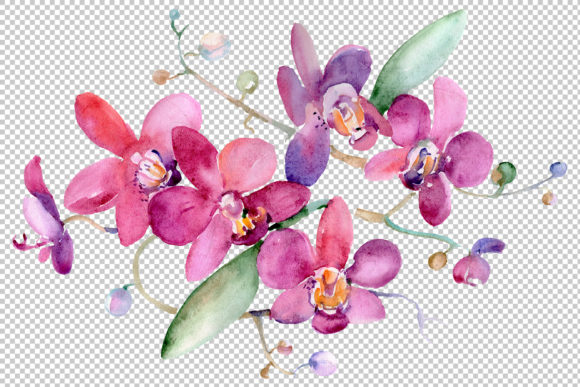 Bouquet Pink Jessica Watercolor Illustrations