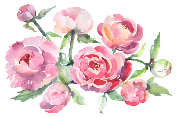 Bouquet with Peonies Watercolor Illustrations