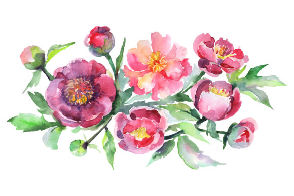 Bouquet with Pink Peonies Watercolor Illustrations