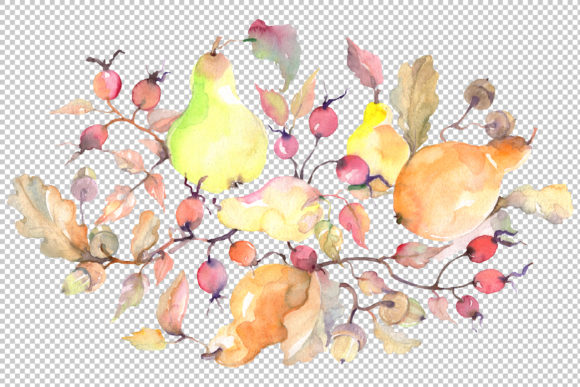 Branch of Pears Watercolor Illustrations