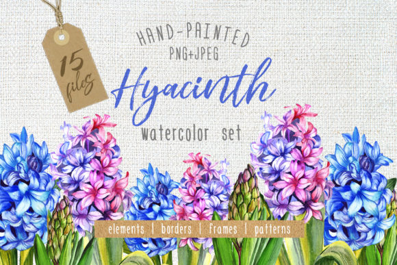 Colorful Hyacinth Watercolor Set & Illustrations