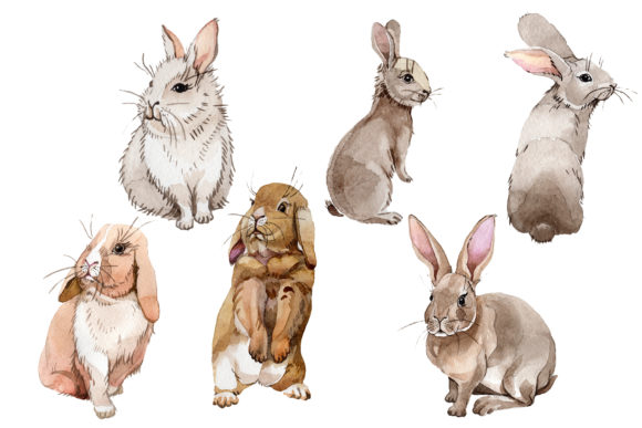 Easter Bunny Watercolor Illustrations