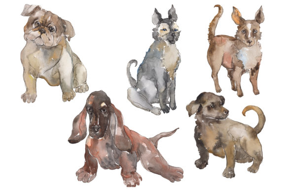Farm Animals Dogs Watercolor Illustrations