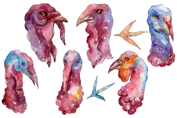 Farm Animals Turkey Head Watercolor Illustrations