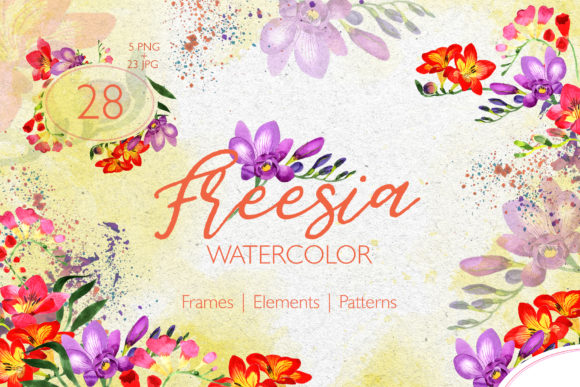 Freesia Watercolor & Illustrations