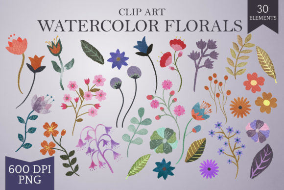 Hand-drawn Watercolor Floral Elements and Illustrations