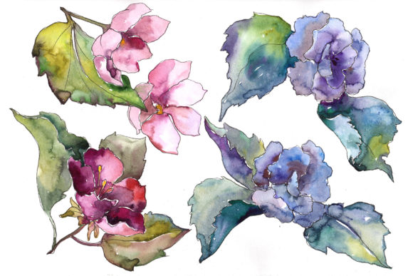 Pink and Blue Gardenia Flowers Watercolor Set Illustrations