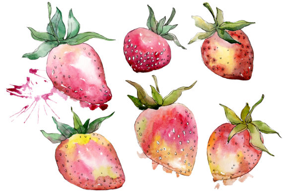 Strawberry Gigantella Watercolor Illustrations