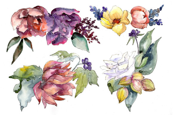 Succulent Tropical Flowers Watercolor Set for Illustrations