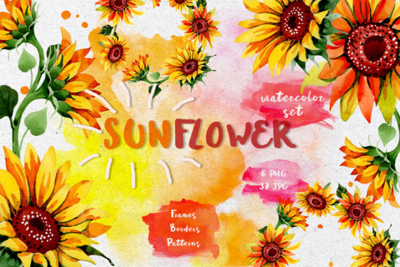 Sunflower Watercolor Flower Set Illustrations