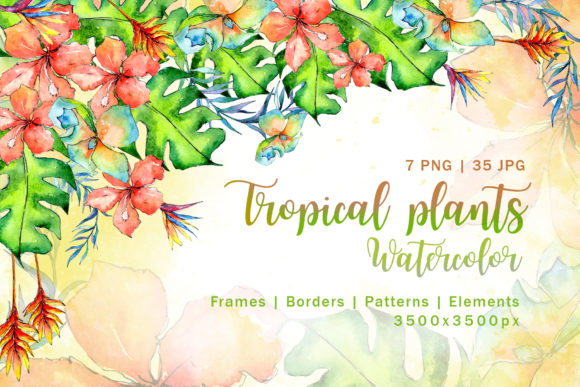Tropical Plant Watercolor Set and Illustrations