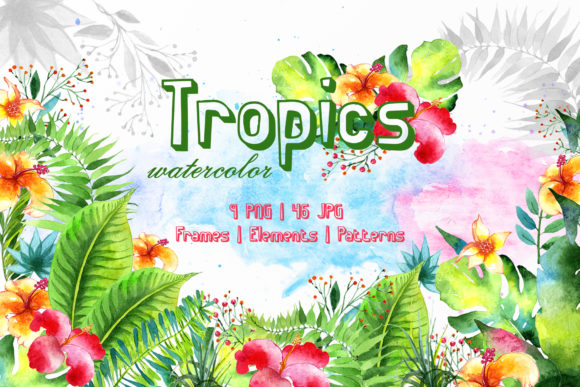 Tropics Watercolor Illustrations