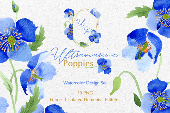 Ultramarine Blue Poppies Watercolor Png and Illustrations