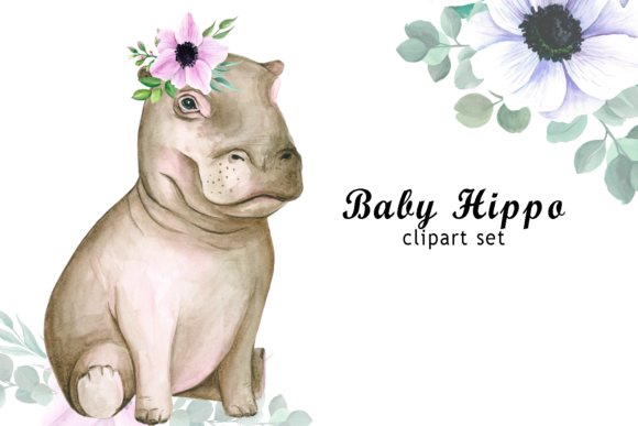 Watercolor Baby Hippo Clipart and Illustrations