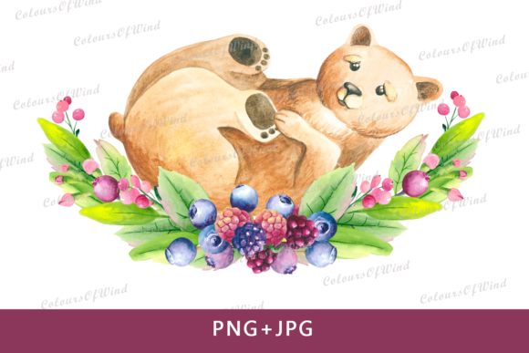 Watercolor Bear Sublimation Design and Illustrations