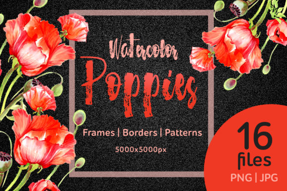 Watercolor Red Poppies Flower Set & Illustrations