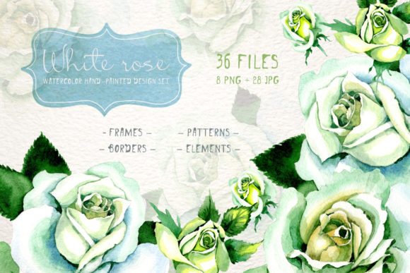 White Rose Watercolor PNG Flower Set and Illustrations