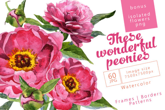 Wonderful Peonies Watercolor Set and Illustrations
