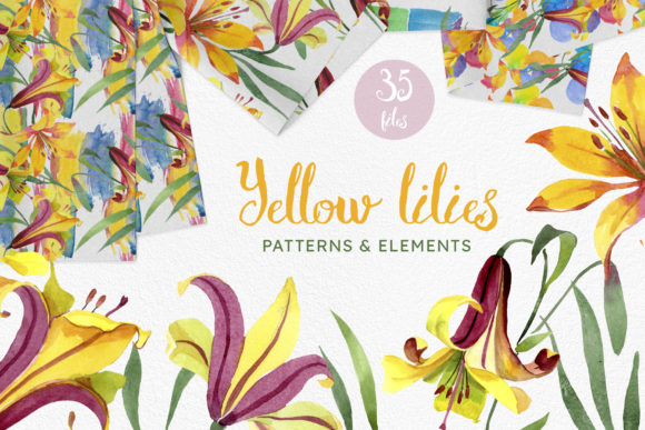 Yellow Lily Flowers Watercolor Illustrations